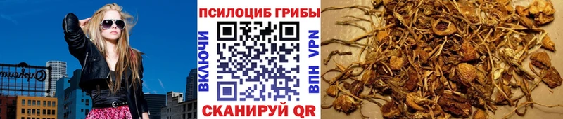 Купить  Суворов  Галлюциногенные грибы GOLDEN TEACHER 